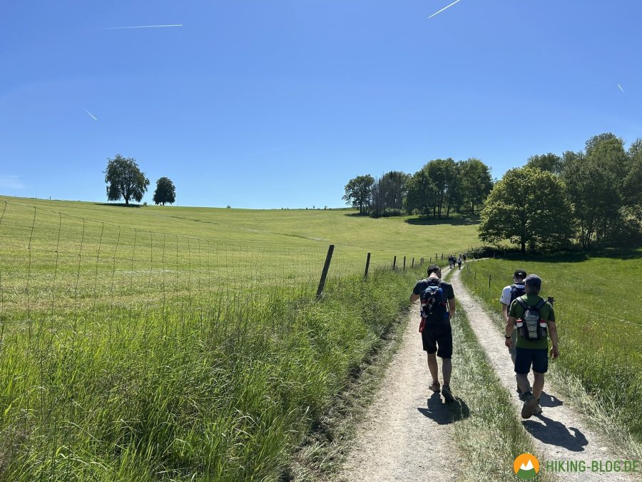 Wanderungen-Fruehjahr-11