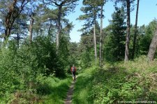 westruperheidehaard18r
