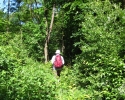 westruperheidehaard10