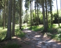 westruperheidehaard12