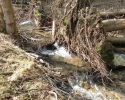 Wildnis-Trail-Tag1-10