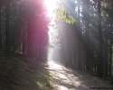 Wildnis-Trail-Tag1-02