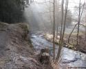 Wildnis-Trail-Tag1-03