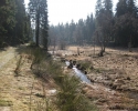 Wildnis-Trail-Tag1-06