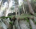 Wildnis-Trail-Tag1-12