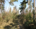 Wildnis-Trail-Tag4-6