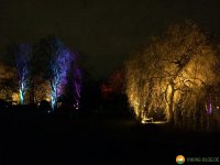 Winterleuchten-2015-03