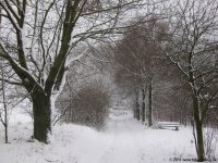naturpark_ebbegebirge_4793