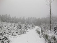 naturpark_ebbegebirge_4809