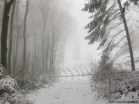 naturpark_ebbegebirge_4878
