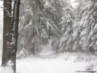 naturpark_ebbegebirge_5141