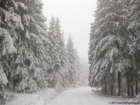 naturpark_ebbegebirge_5180