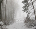 naturpark_ebbegebirge_4878