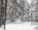 naturpark_ebbegebirge_5141