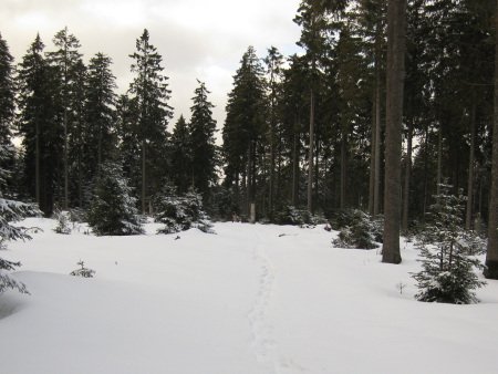 zueschener_mythen_und_sagenweg13