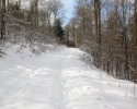 zueschener_mythen_und_sagenweg09