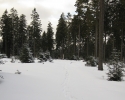 zueschener_mythen_und_sagenweg13