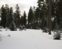 zueschener_mythen_und_sagenweg13