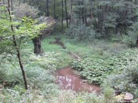ronsdorfer_talsperre-_gelpeundsaalbachtal14