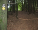 ronsdorfer_talsperre-_gelpeundsaalbachtal03