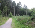 ronsdorfer_talsperre-_gelpeundsaalbachtal06