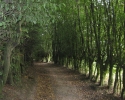 ronsdorfer_talsperre-_gelpeundsaalbachtal10