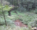 ronsdorfer_talsperre-_gelpeundsaalbachtal14