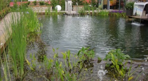 Landesgartenschau Hemer Schwimmteich