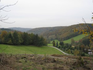 ElfringhauserSchweiz7