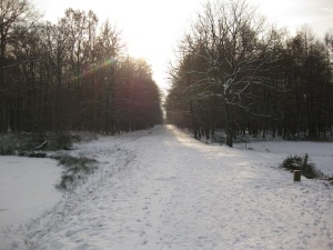HoheMark01