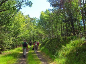 Social Media Wanderverein