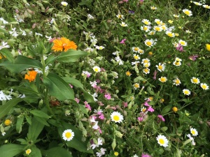 Blumen
