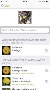 Mit iNaturalist Pflanzen und Tiere bestimmen