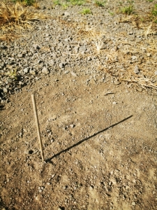 Orientierung beim Wandern Mithilfe des Sonnenkompass