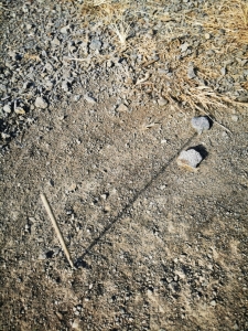Orientierung beim Wandern Mithilfe des Sonnenkompass