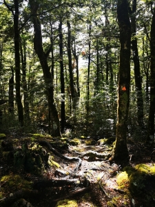 Orientierung beim Wandern