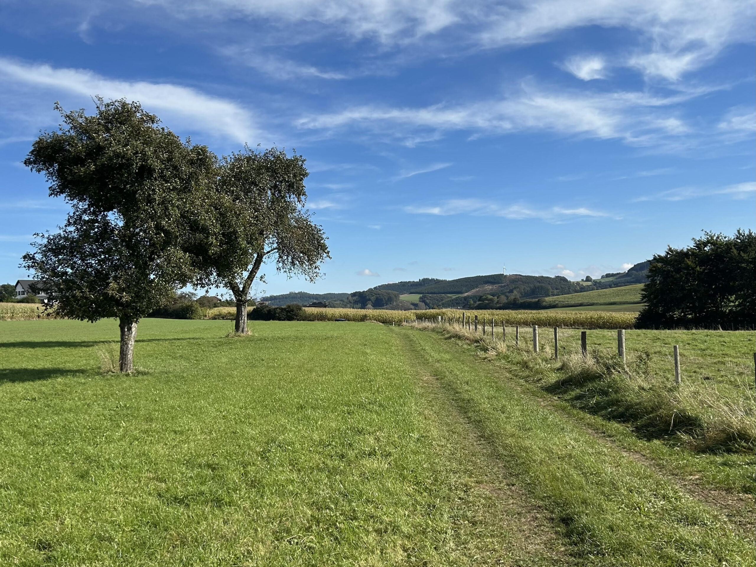 Der erste Rückwärtswanderweg Deutschlands